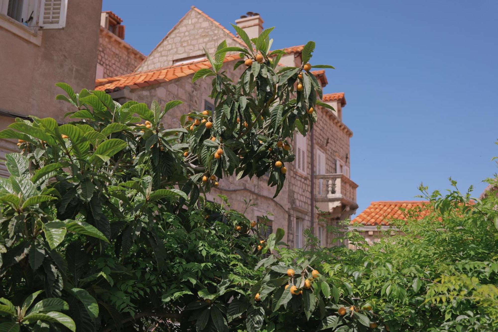 Old Town Green Oasis House Дубровник Екстериор снимка