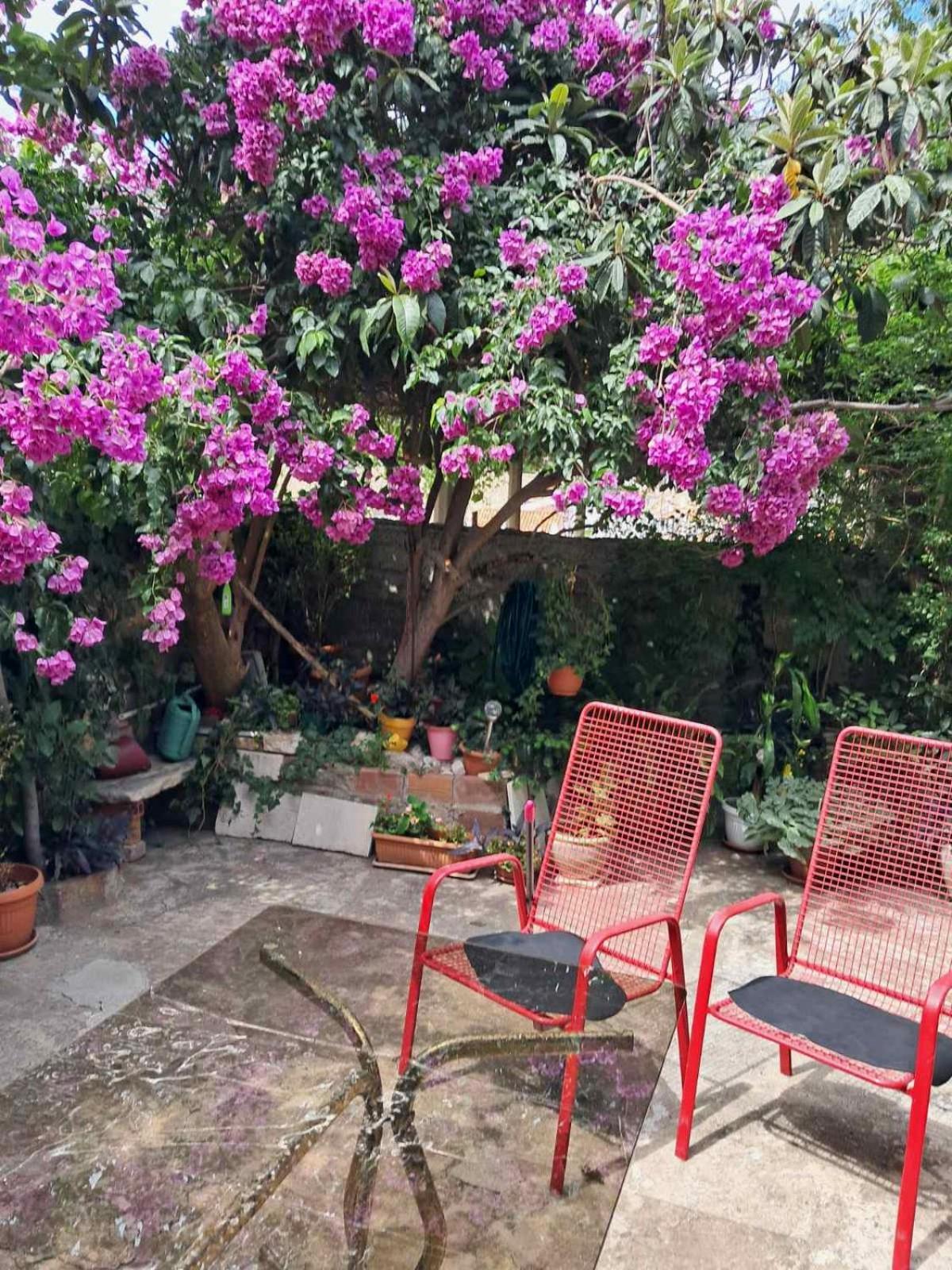 Old Town Green Oasis House Дубровник Екстериор снимка